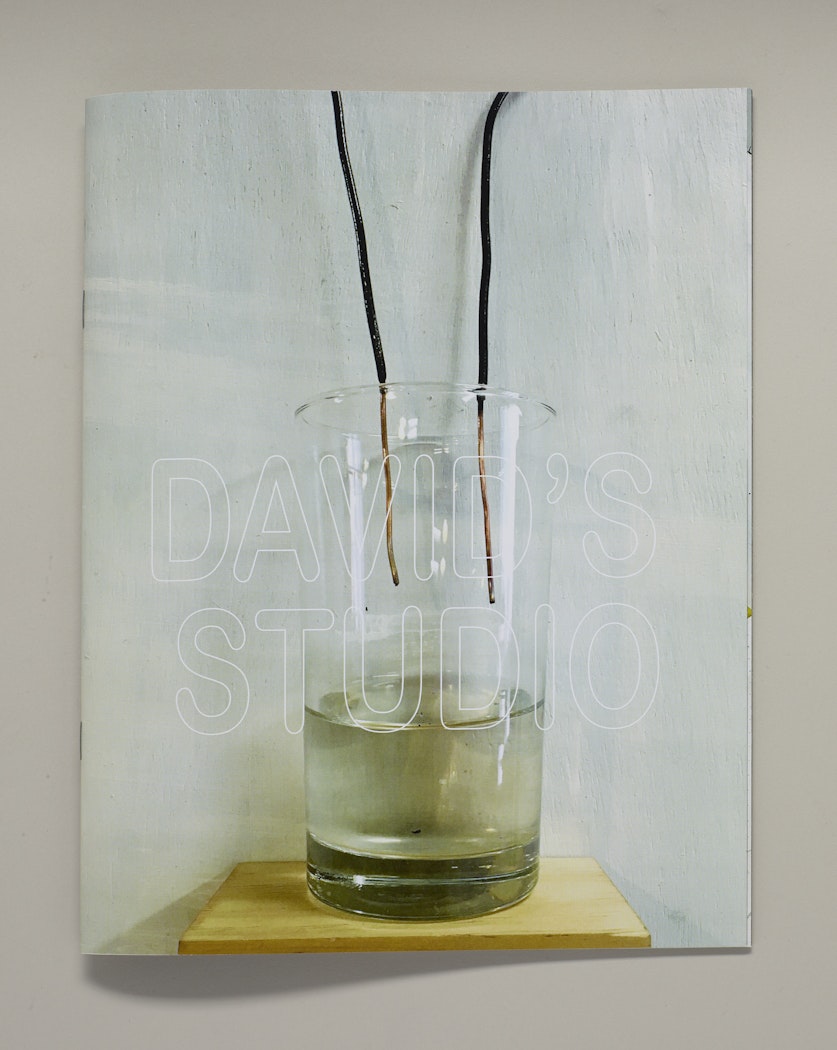 David's Studio