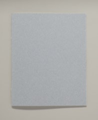 Diary of a "[racial slur]"