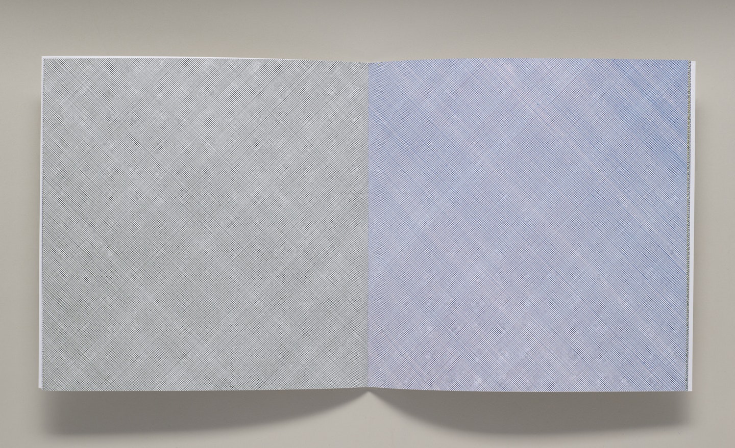 Four Basic Kinds of Lines & Colour