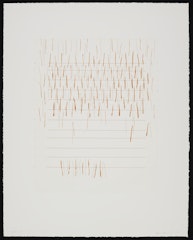 Letters to Earth