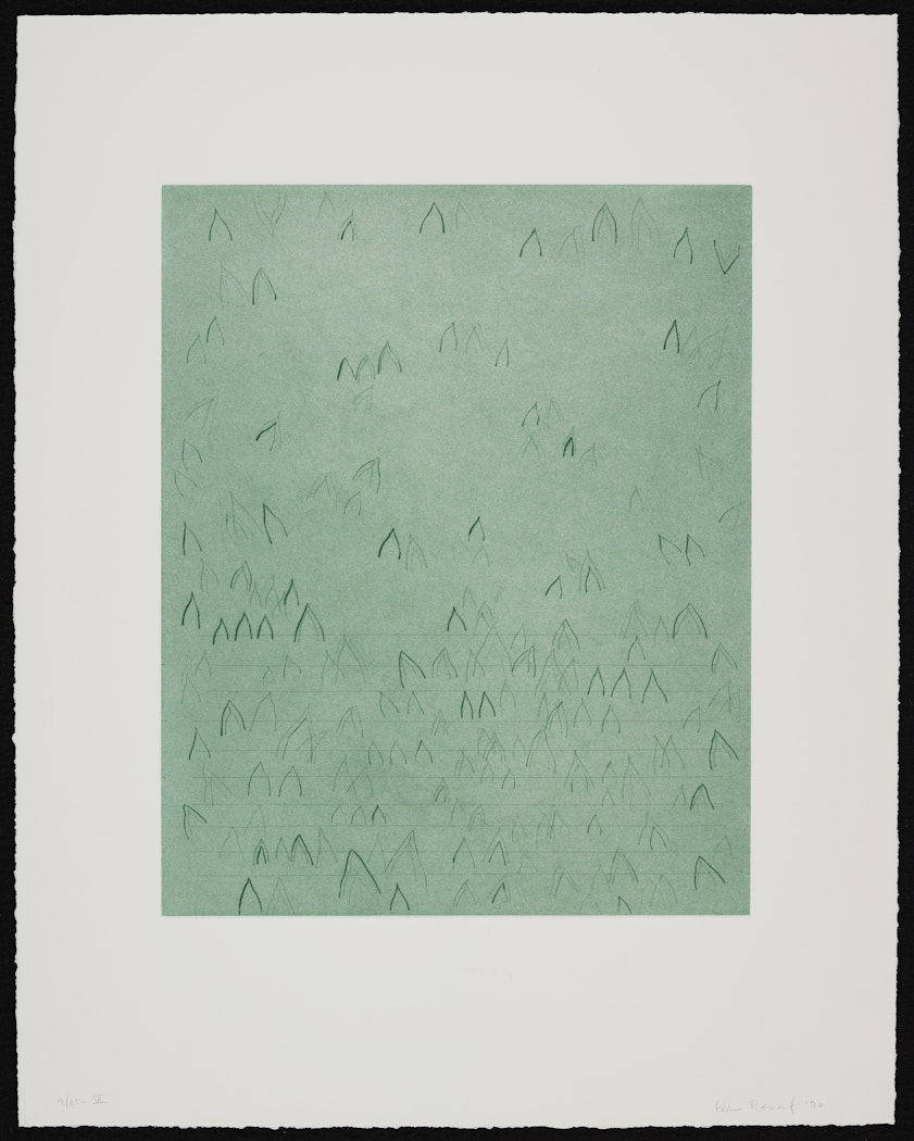 Letters to Earth