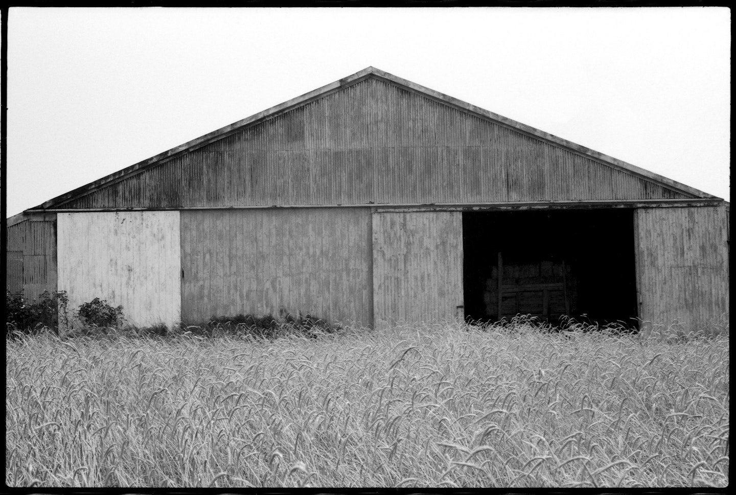 Barn, Southampton from the portfolio Ellsworth Kelly Photographs