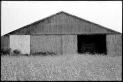 Barn, Southampton from the portfolio Ellsworth Kelly Photographs