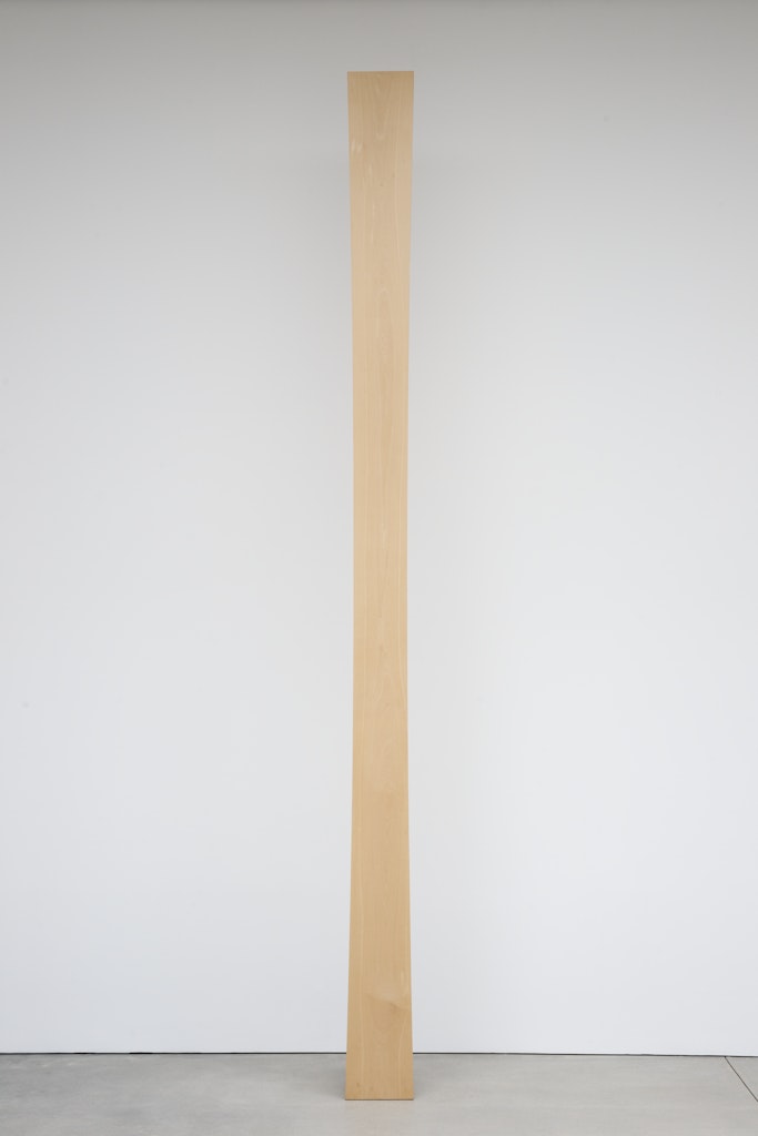 Curve XXXVIII