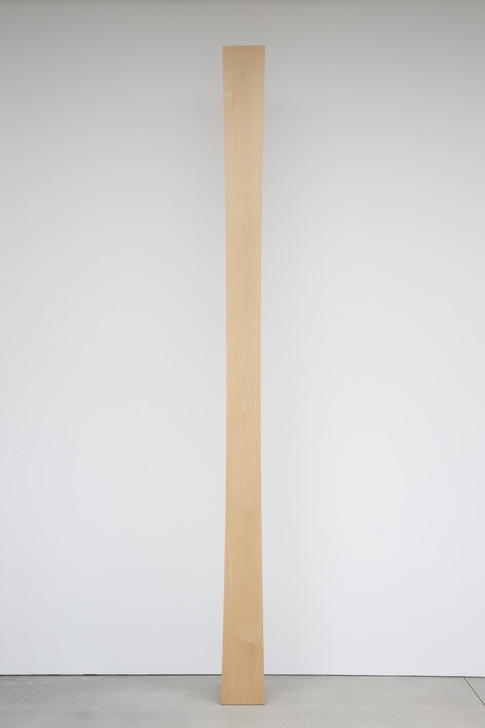 Curve XXXVIII