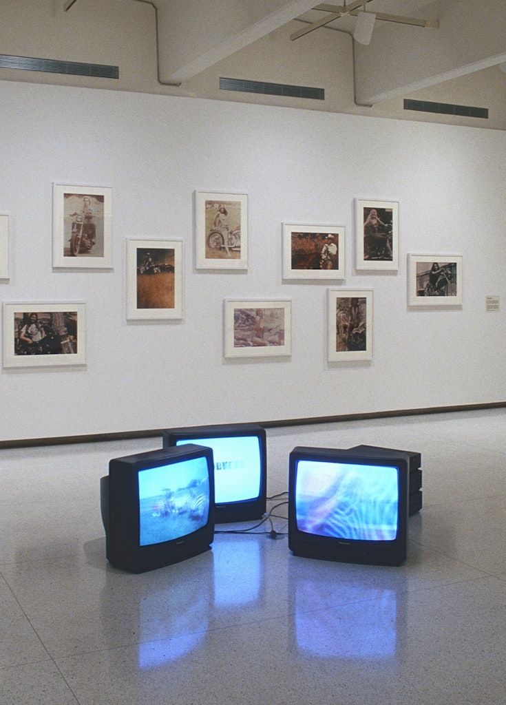 Bridget Riley made a painting