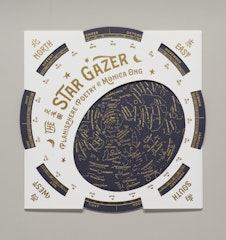 The Star Gazer