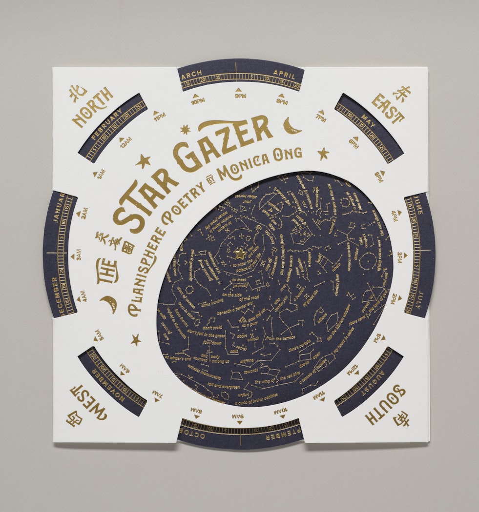 The Star Gazer
