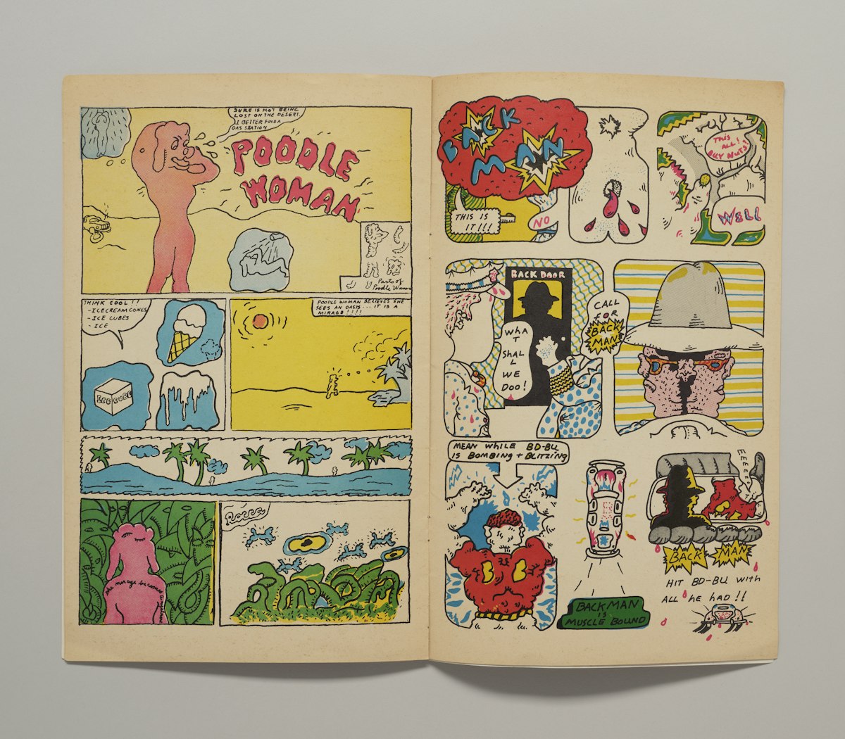 The Portable Hairy Who