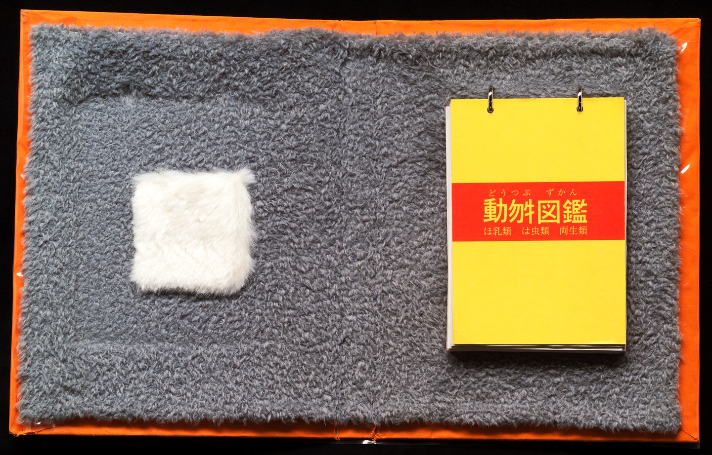 2002.62.3 inside book