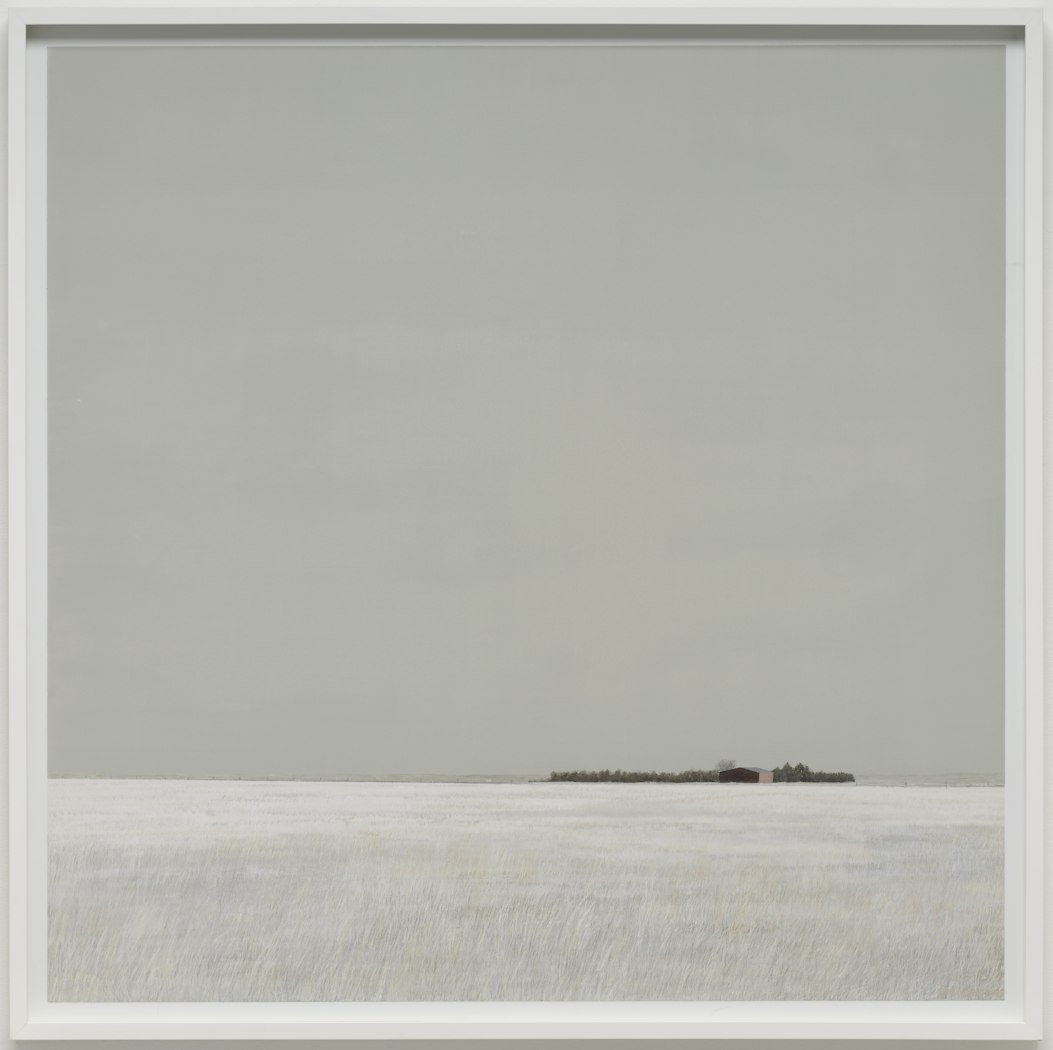 Untitled 46