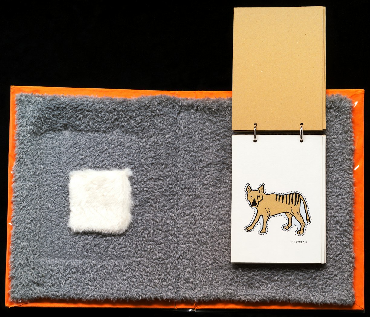 2002.62.3 inside book (Hyena)