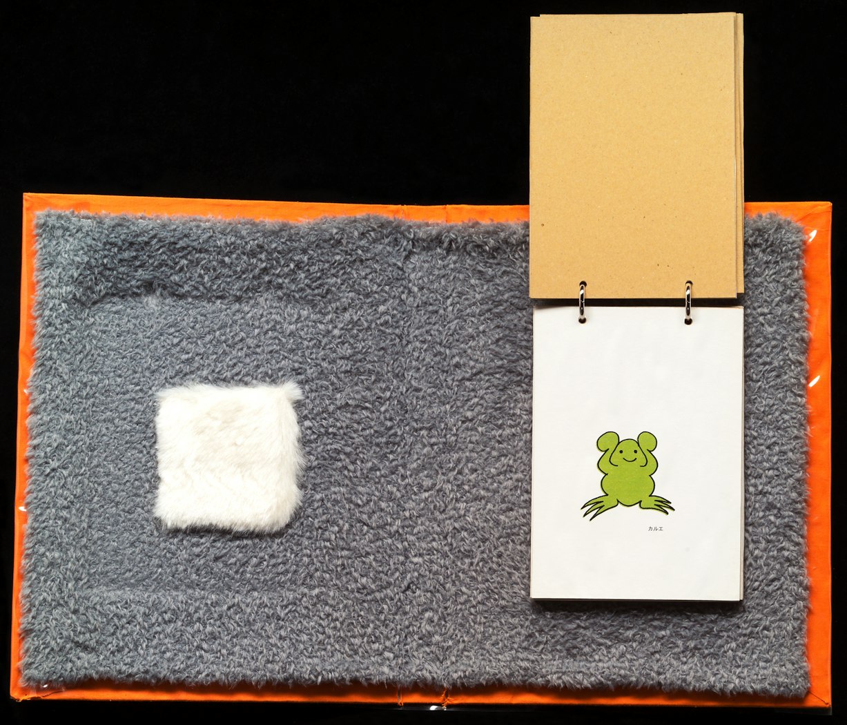 2002.62.3 inside book (Frog)