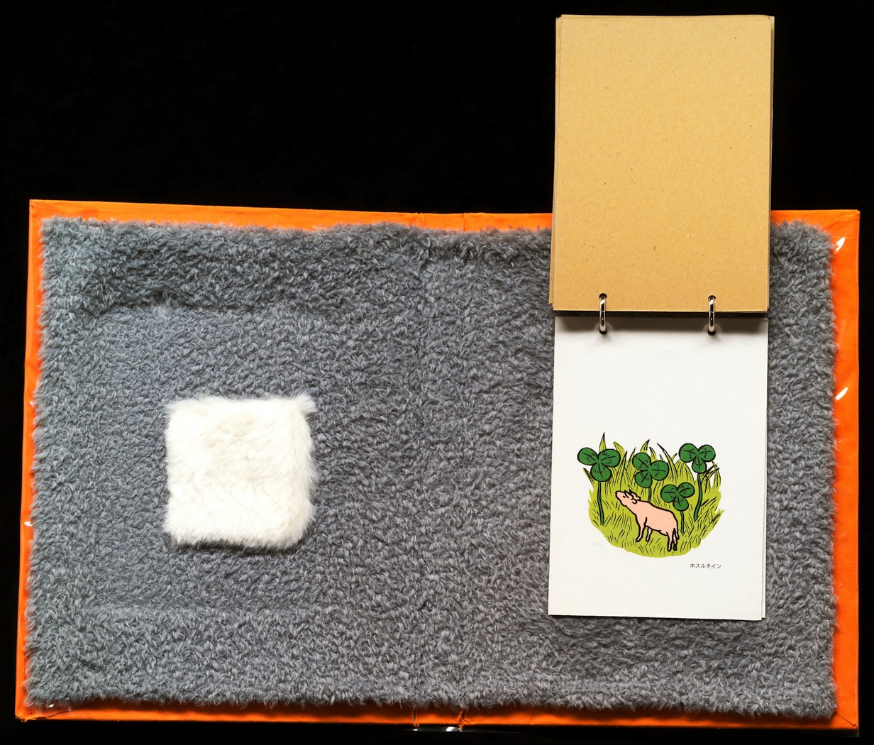 2002.62.3 inside book (Pig with 3-leaf clover)