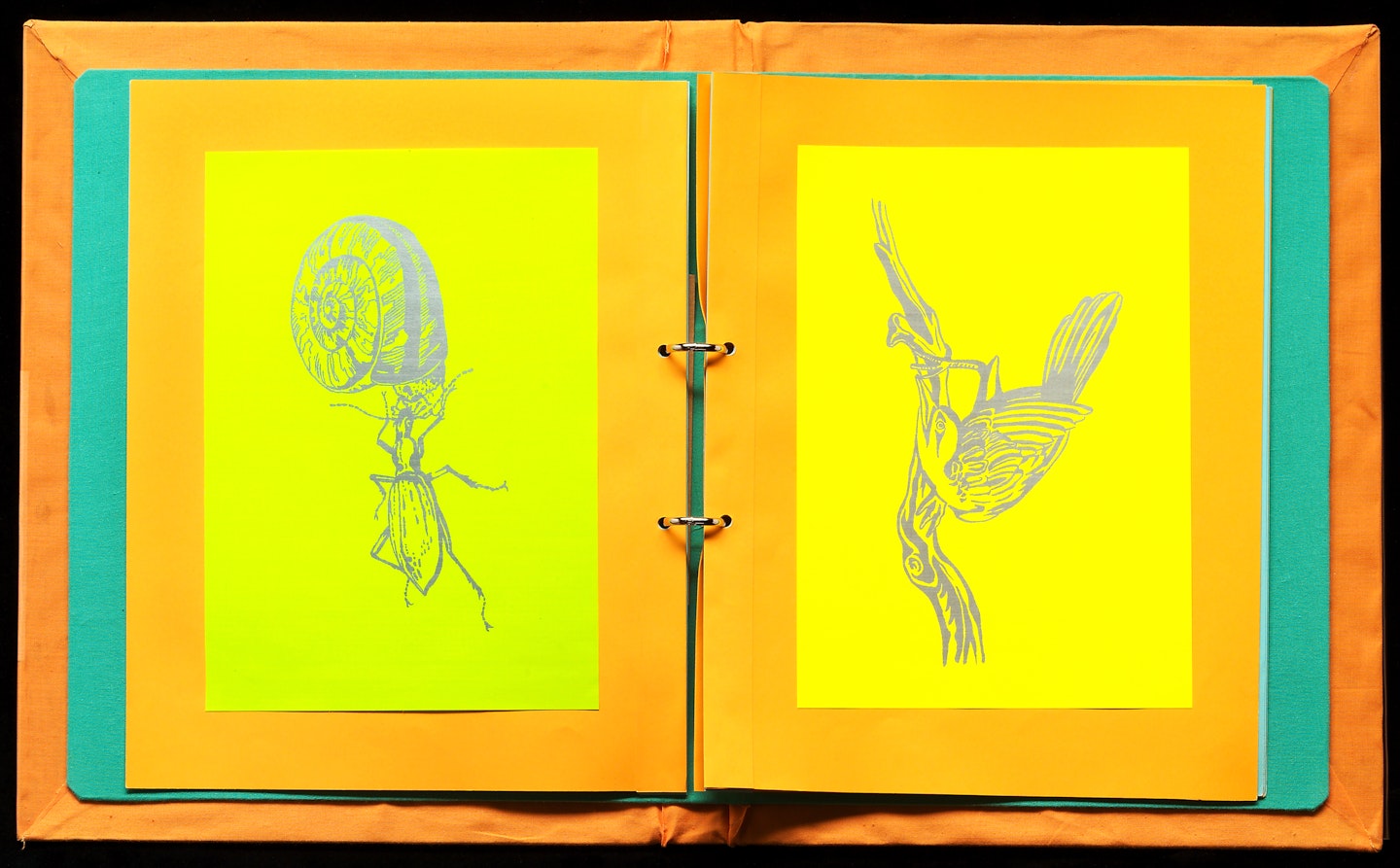 2002.62.4 inside book