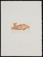 Meerengel Robbe 3 aus Suite Zirkulationszeit (Sea Angels Seal 3 from Suite Circulation Time)
