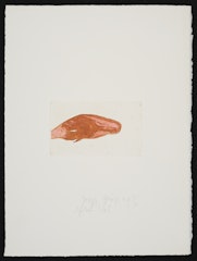 Meerengel Sperm-Wal aus Suite Zirkulationszeit (Sea Angels Sperm Whale from Suite Circulation Time)