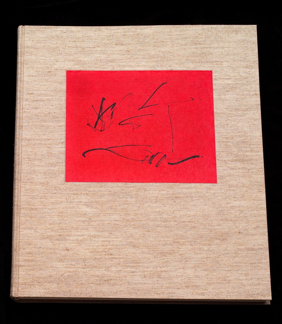 cover of book