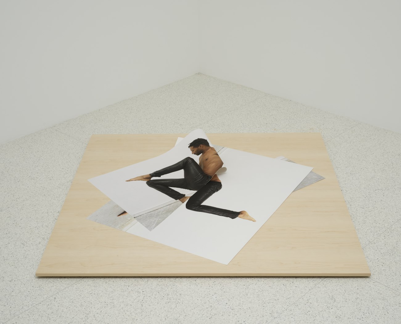 Untitled (Plié IV)