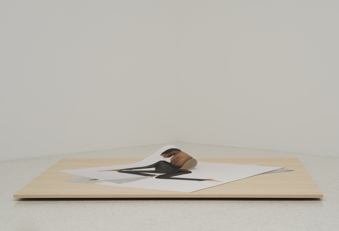 Untitled (Plié IV)