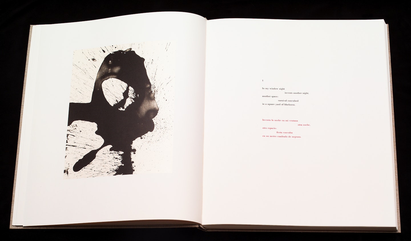 2-page spread of opened book