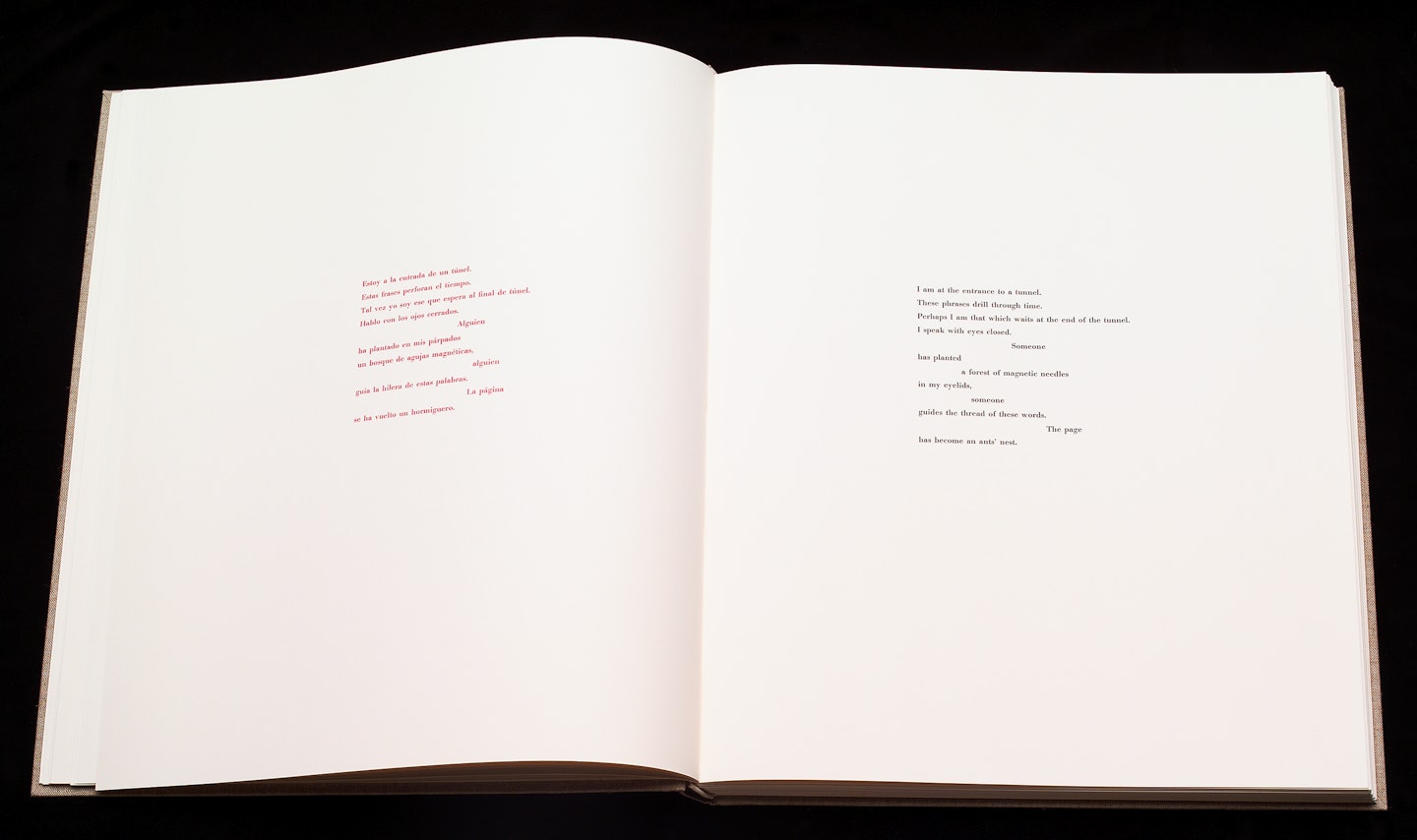 2-page spread of opened book