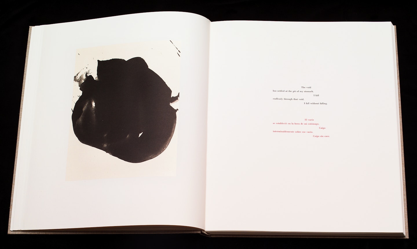 2-page spread of opened book