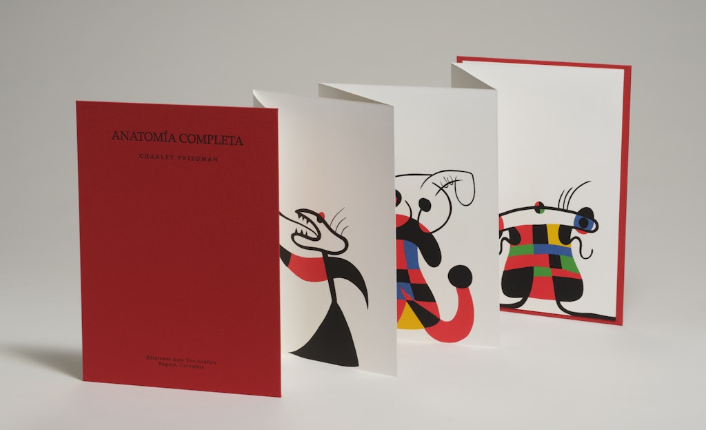 Gross Anatomy (Anatomía Completa)