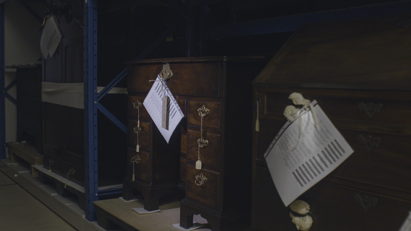 The Archive of Lost Forests
