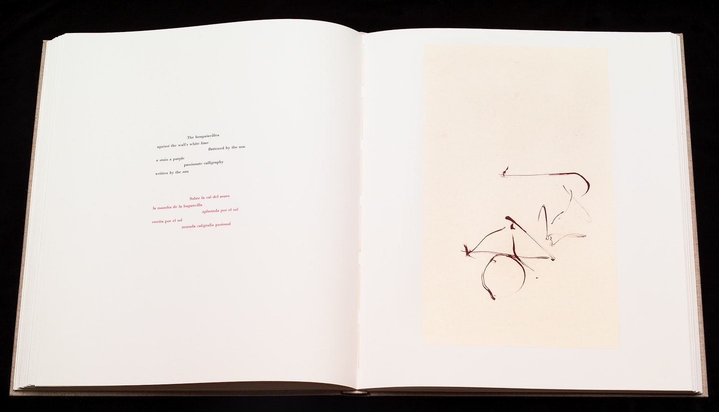 2-page spread of opened book