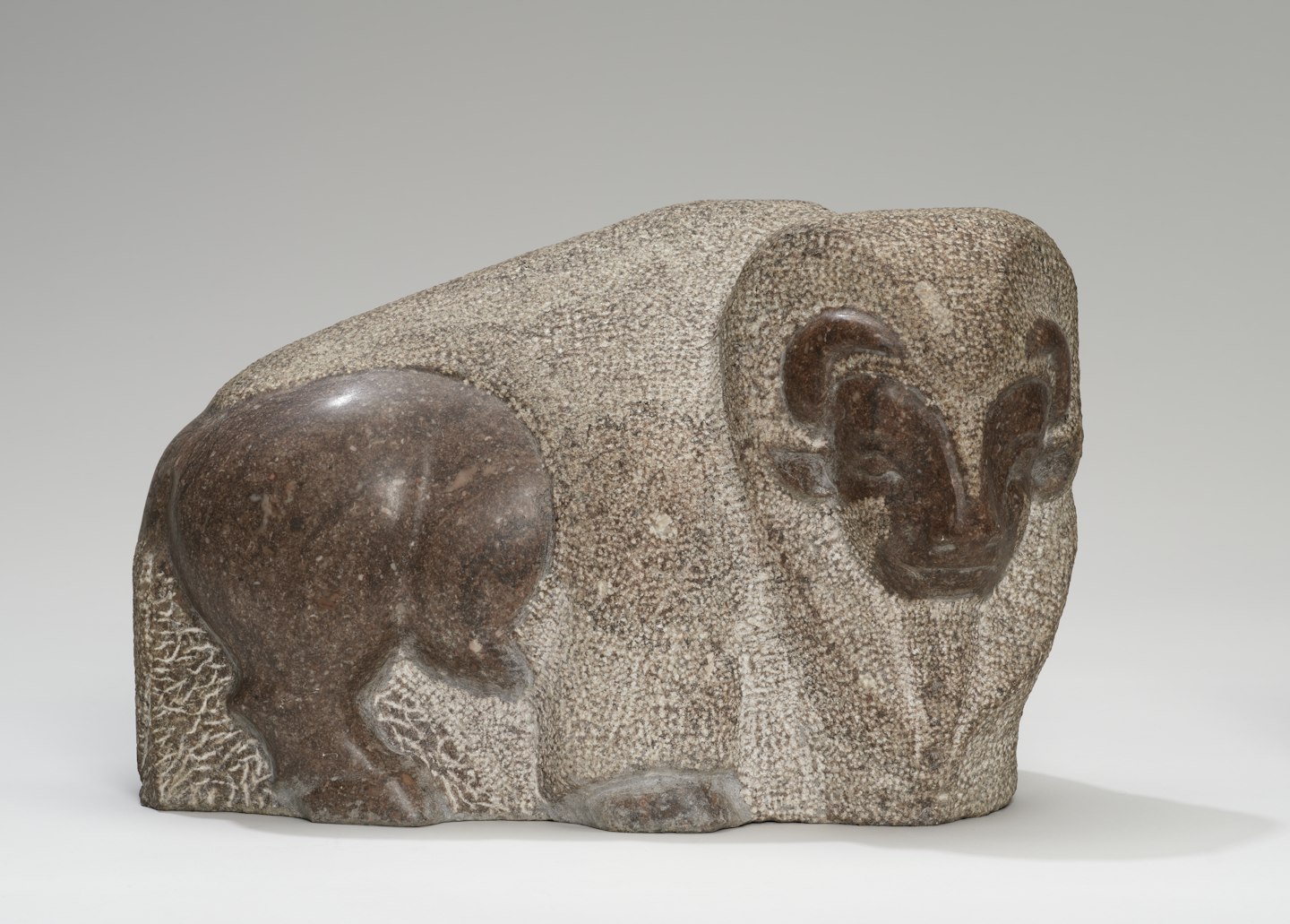 Bison