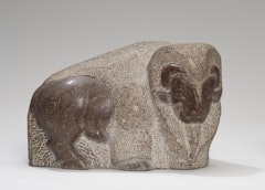 Bison