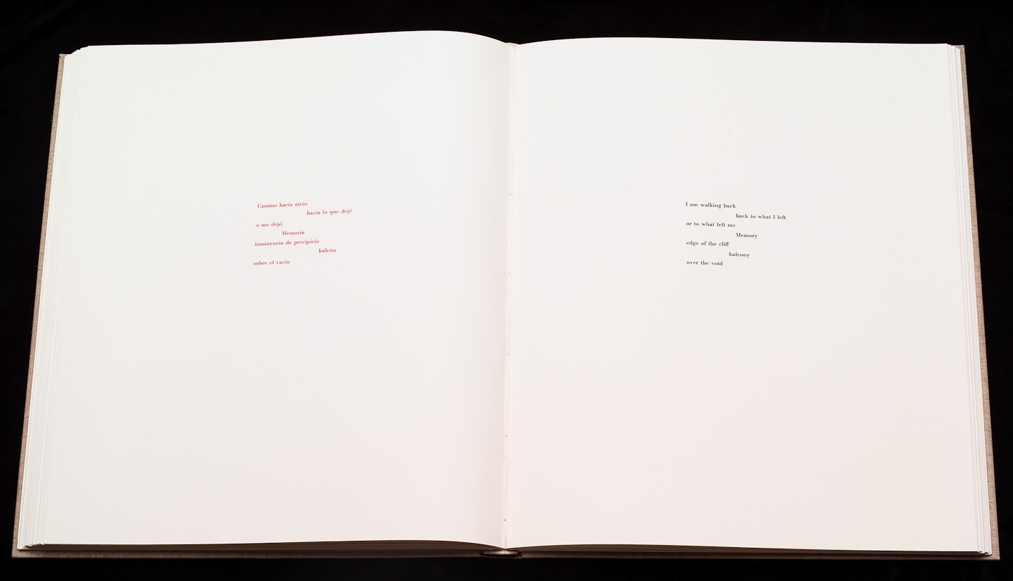 2-page spread of opened book