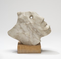 Head