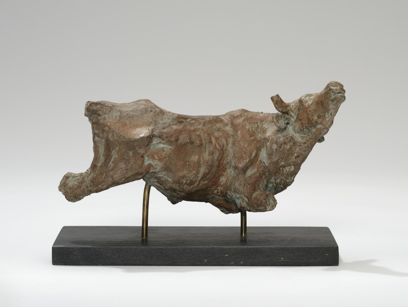 Bull Torso
