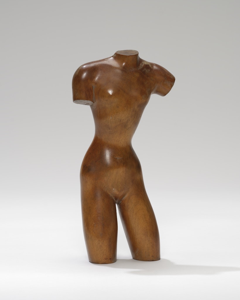 Torso