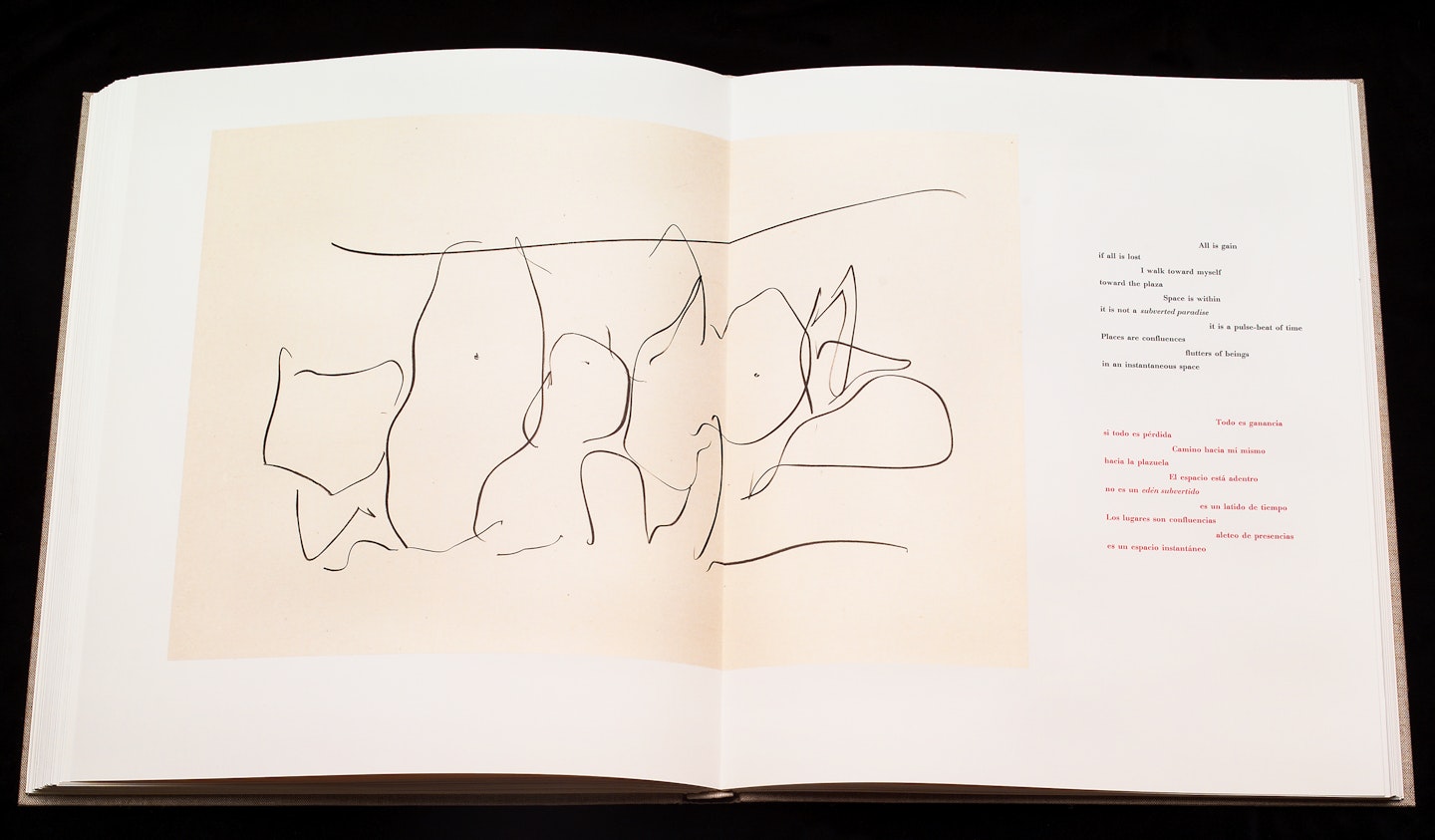 2-page spread of opened book