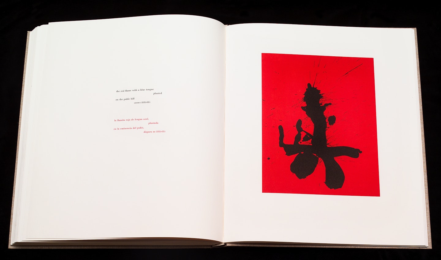 2-page spread of opened book