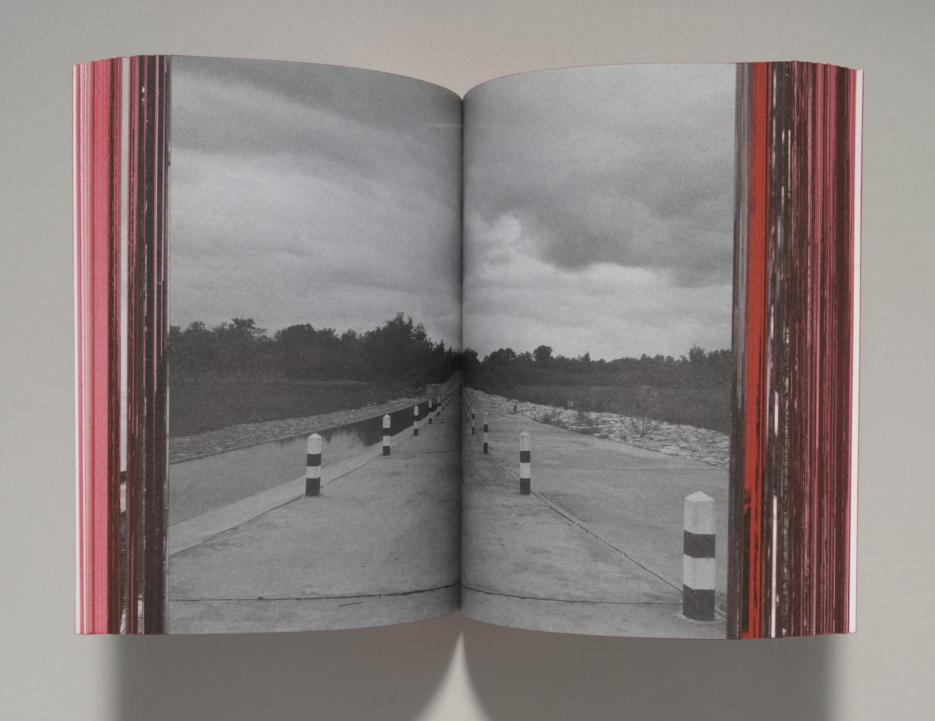 Cujo, Issue 2: Apichatpong Weerasethakul: Primitive