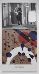 Miró and Life in General: Intrinsic