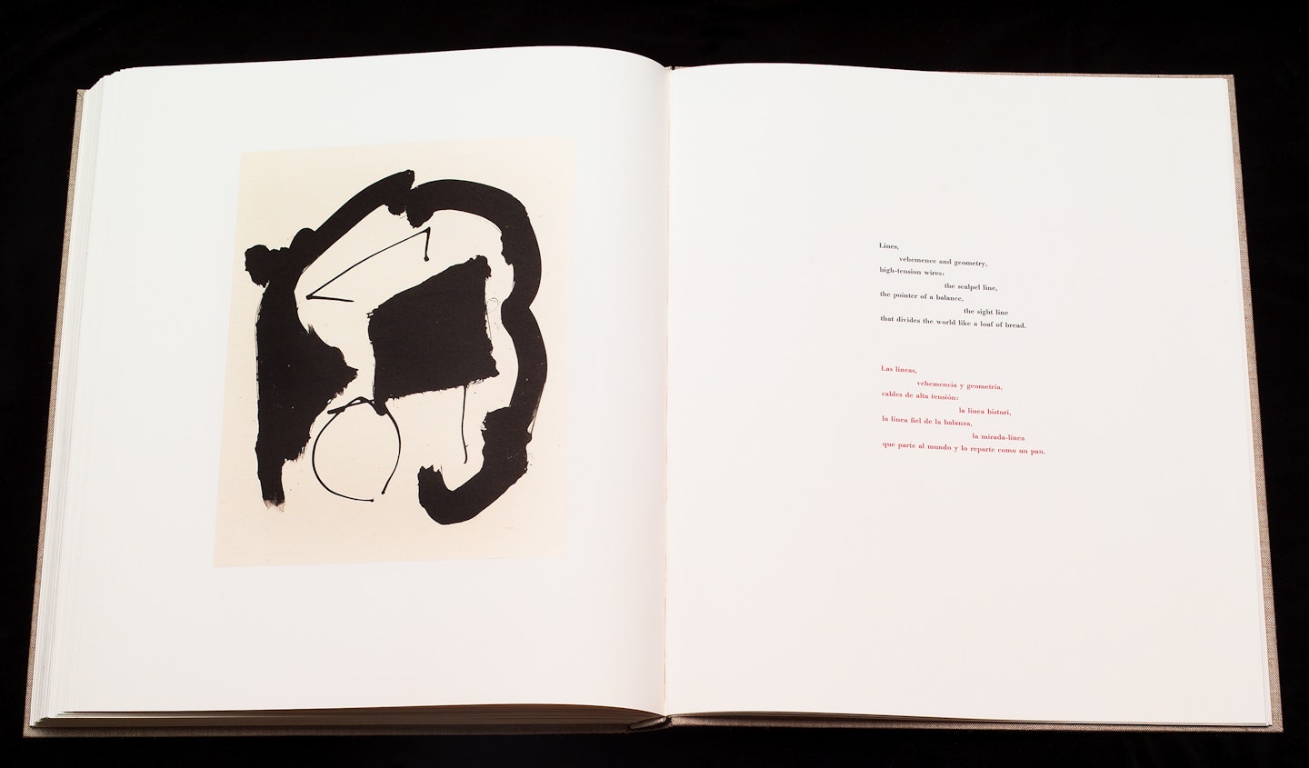 2-page spread of opened book