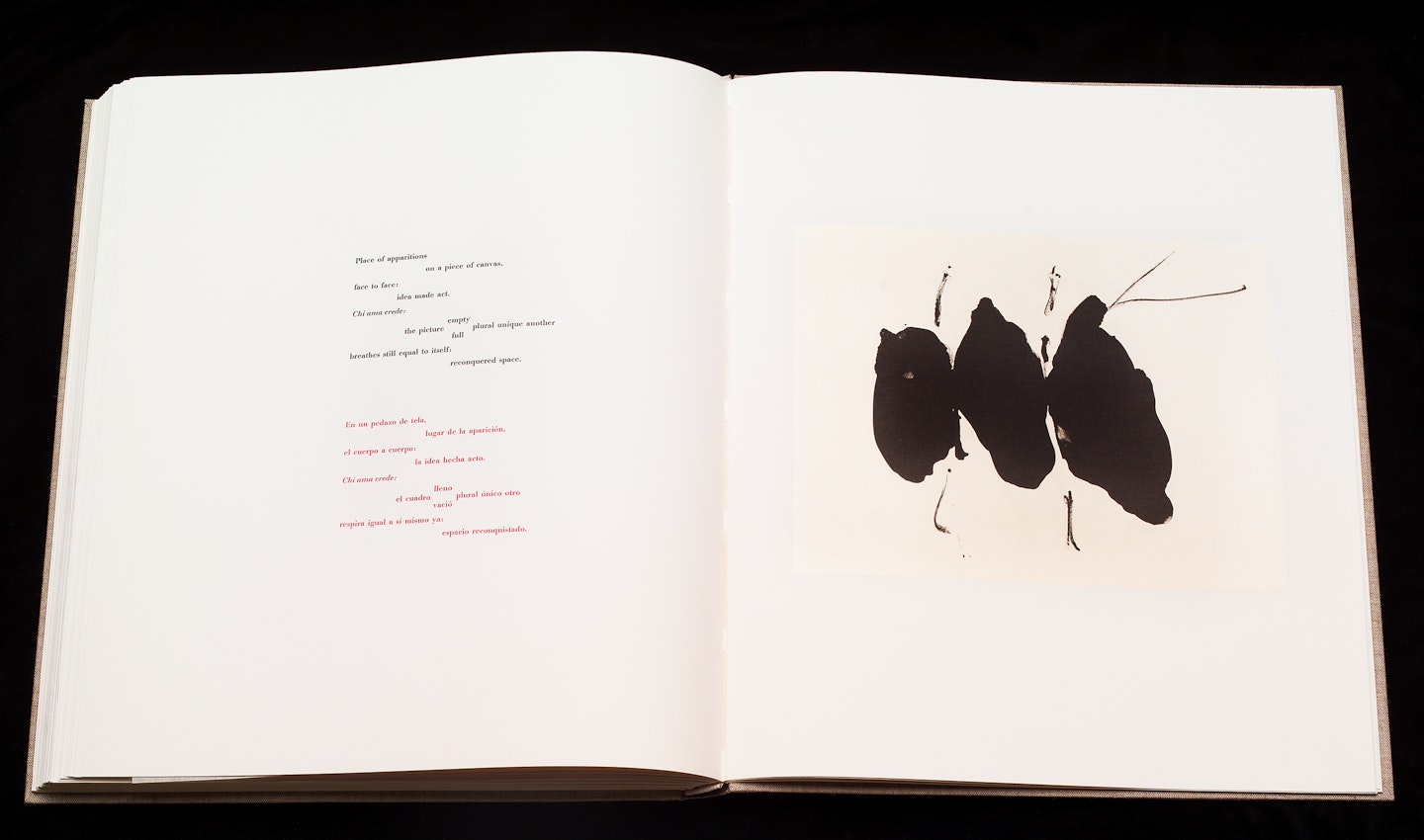 2-page spread of opened book