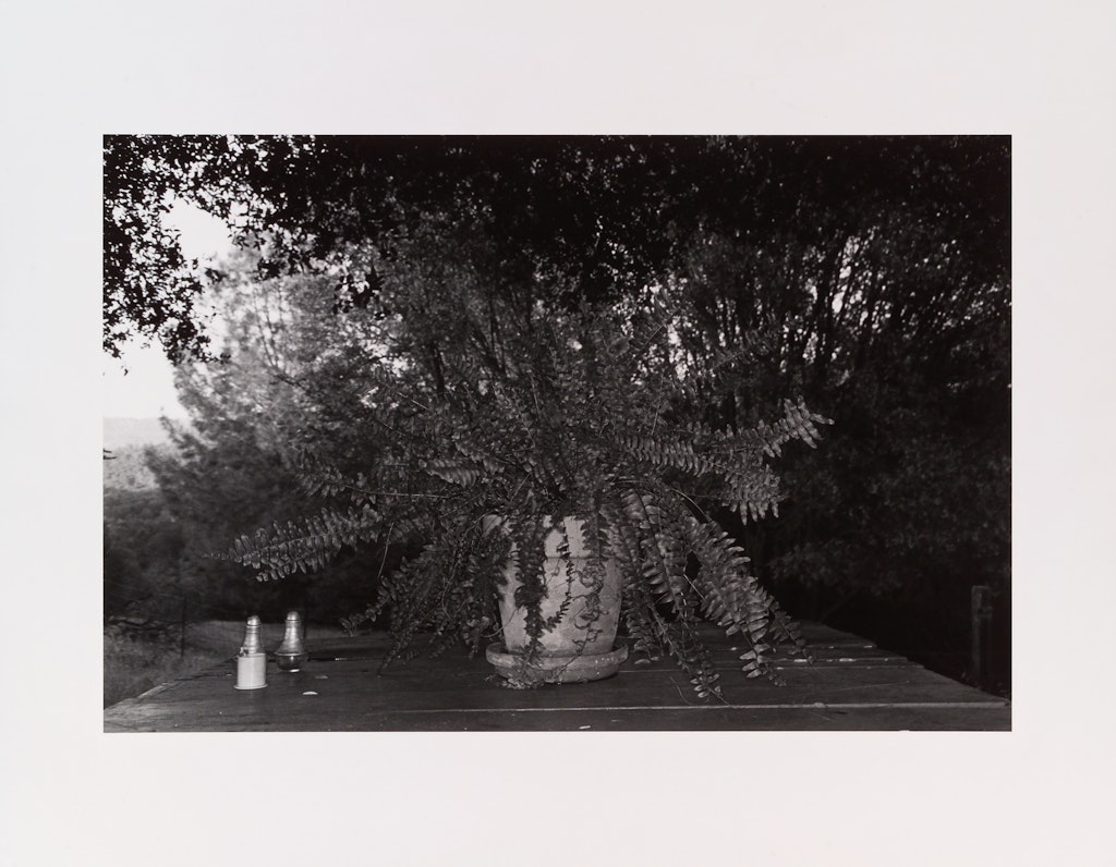 Mariposa, California