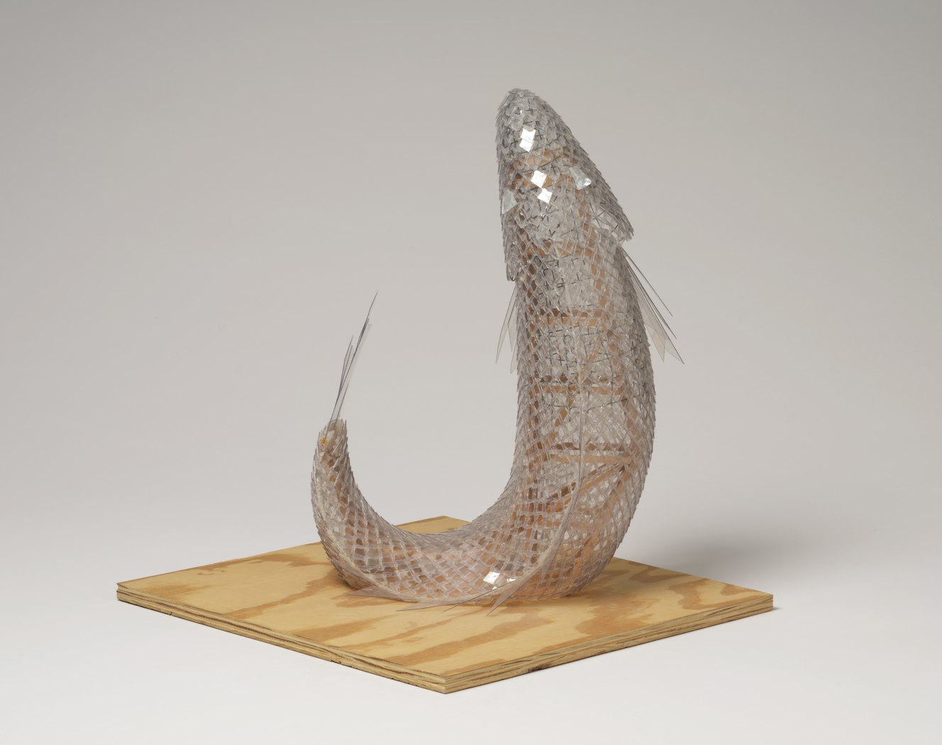model for Standing Glass Fish 