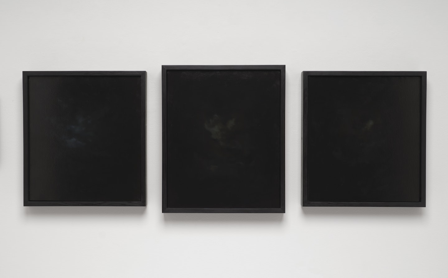 Untitled (Triptych)