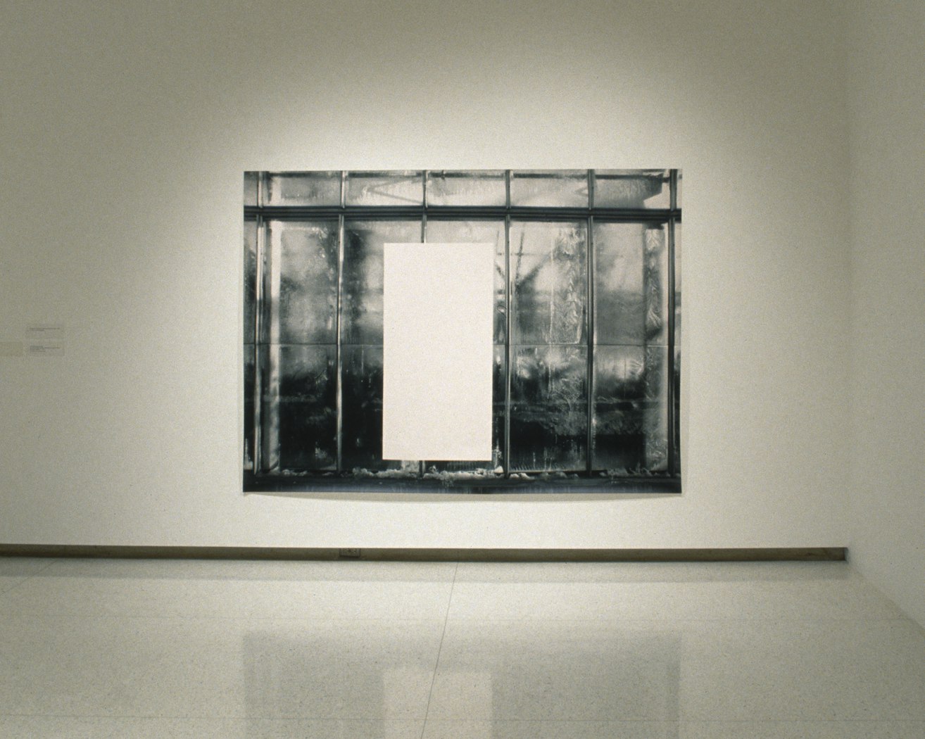 Minneapolis, Cowles Conservatory, January 20, 1994 from On a Balcony