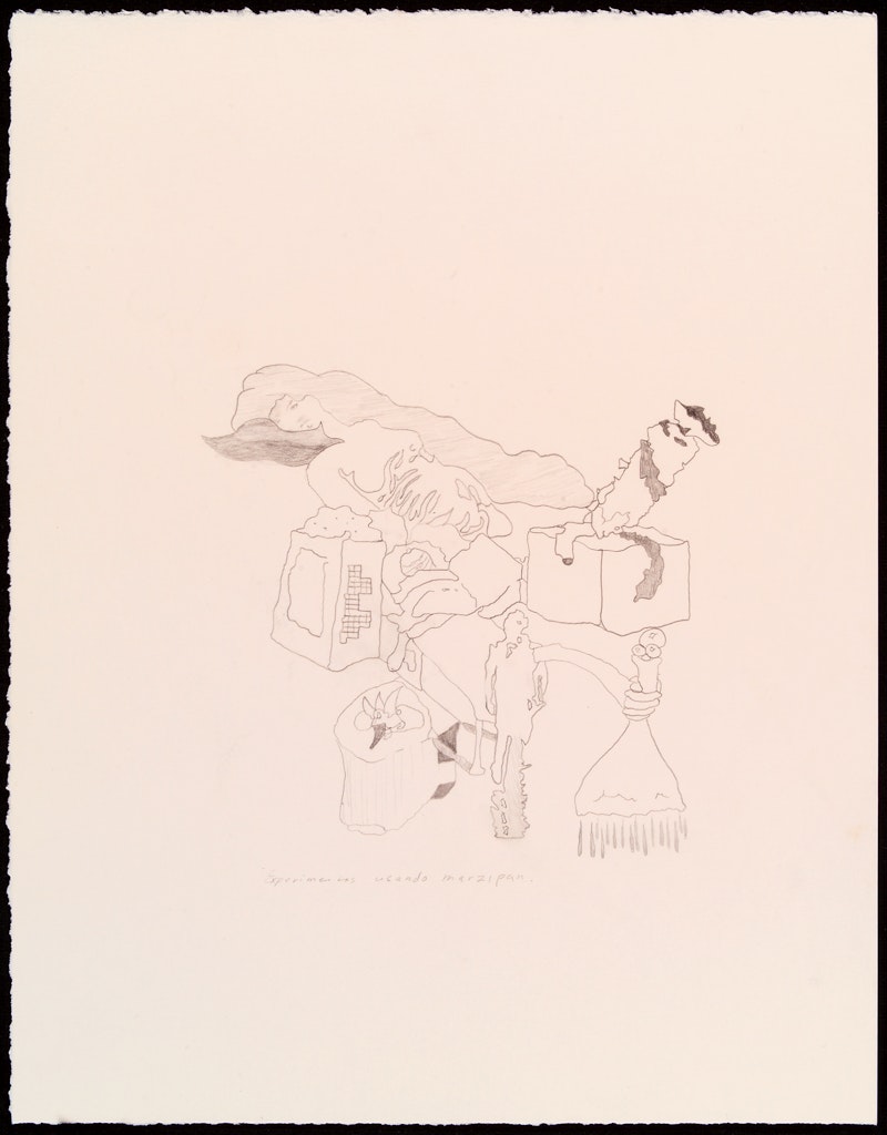 Human/Marzipan Experiments