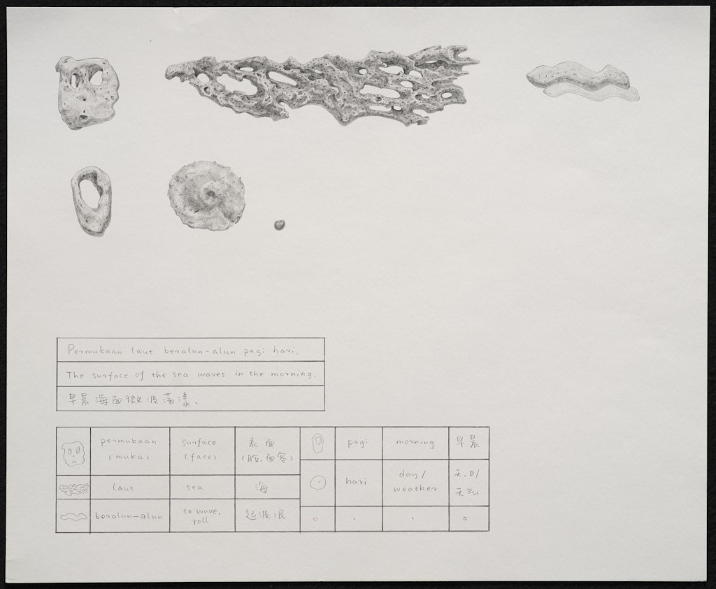 Coral Dictionary (The surface of the sea waves in the morning.)