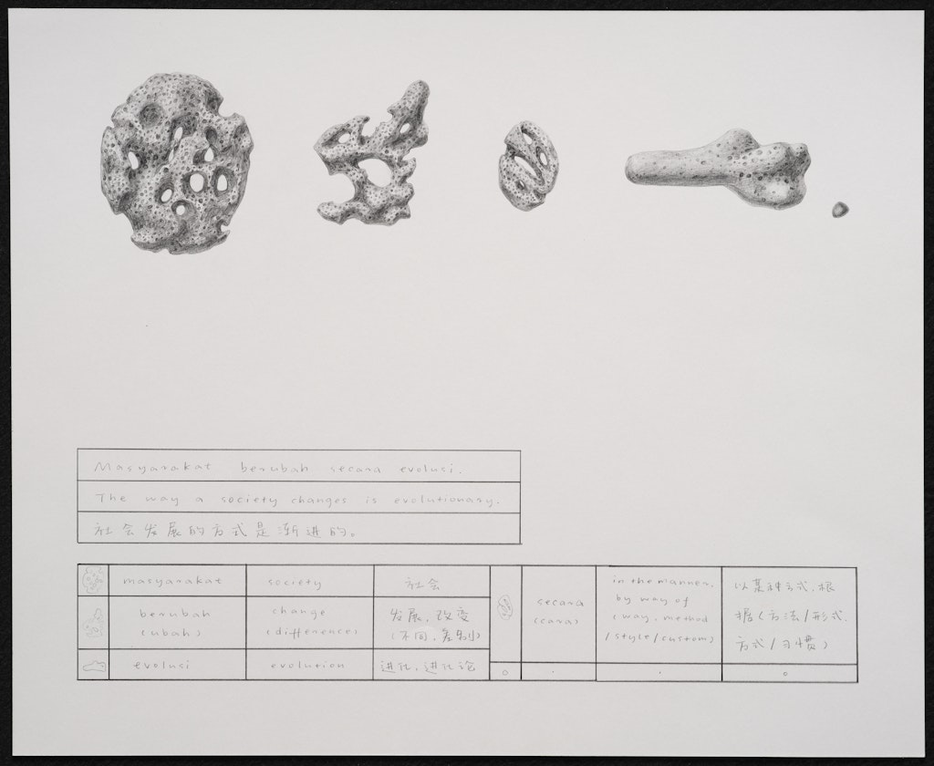Coral Dictionary (The way a society changes is evolutionary.)