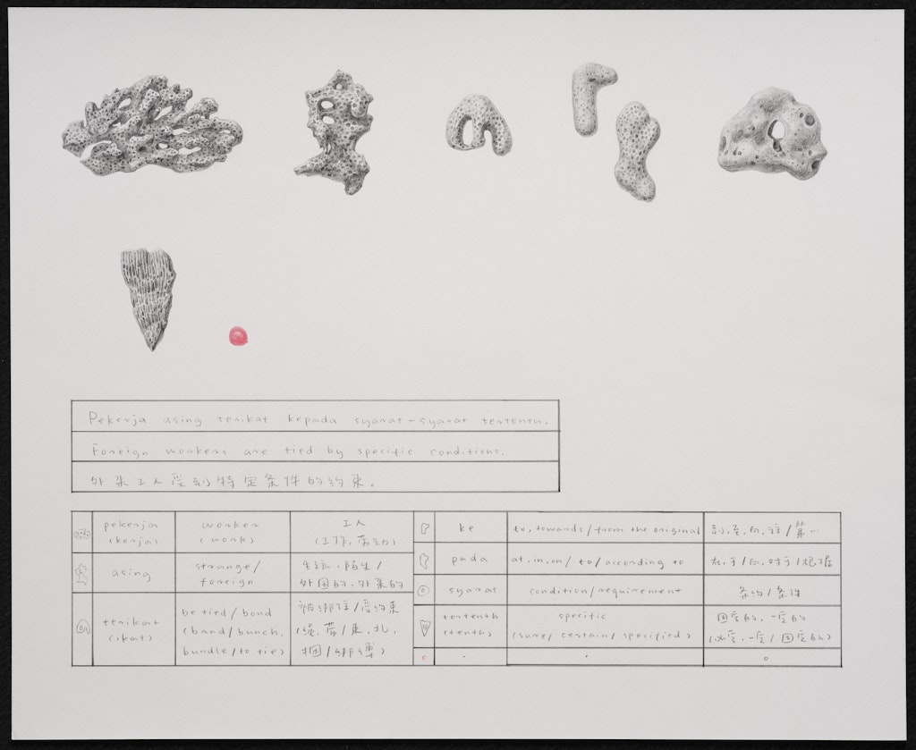 Coral Dictionary (Foreign workers are tied by specific conditions.)